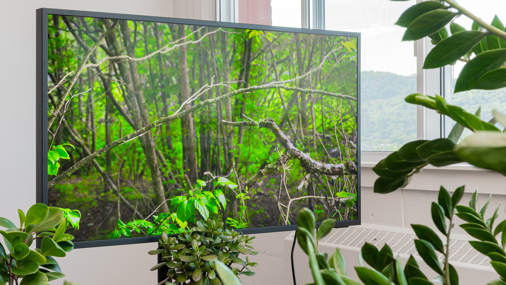 Best Outdoor TVs